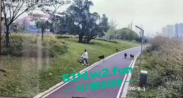 江西赣州四条大型犬公园撕咬母女原视频，狗主人拒绝赔偿系当地小老板，引起了广大网友们热议。-3