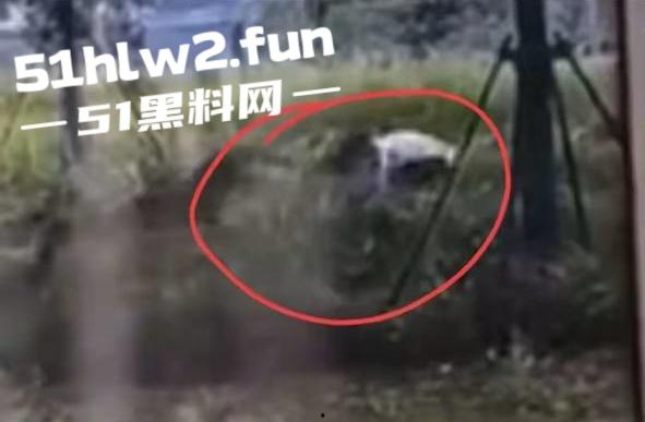 江西赣州四条大型犬公园撕咬母女原视频，狗主人拒绝赔偿系当地小老板，引起了广大网友们热议。-11