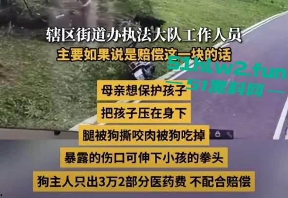 江西赣州四条大型犬公园撕咬母女原视频，狗主人拒绝赔偿系当地小老板，引起了广大网友们热议。-12