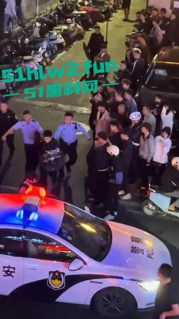 海南三亚金鸡岭，富天乐酒店门口民警和歹徒搏斗全过程，男子强奸未遂被巡逻民警发现并逮捕。-7