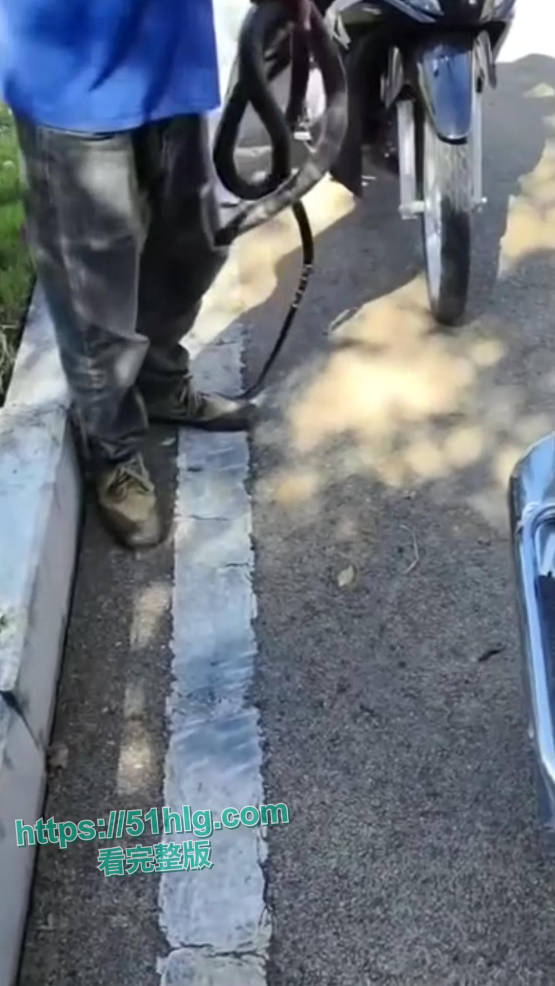 震惊！【贵州】男子惨遭眼镜王蛇夺命， 错把眼镜王蛇当乌梢蛇肆意玩耍，荒唐行为令人唏嘘不已-5