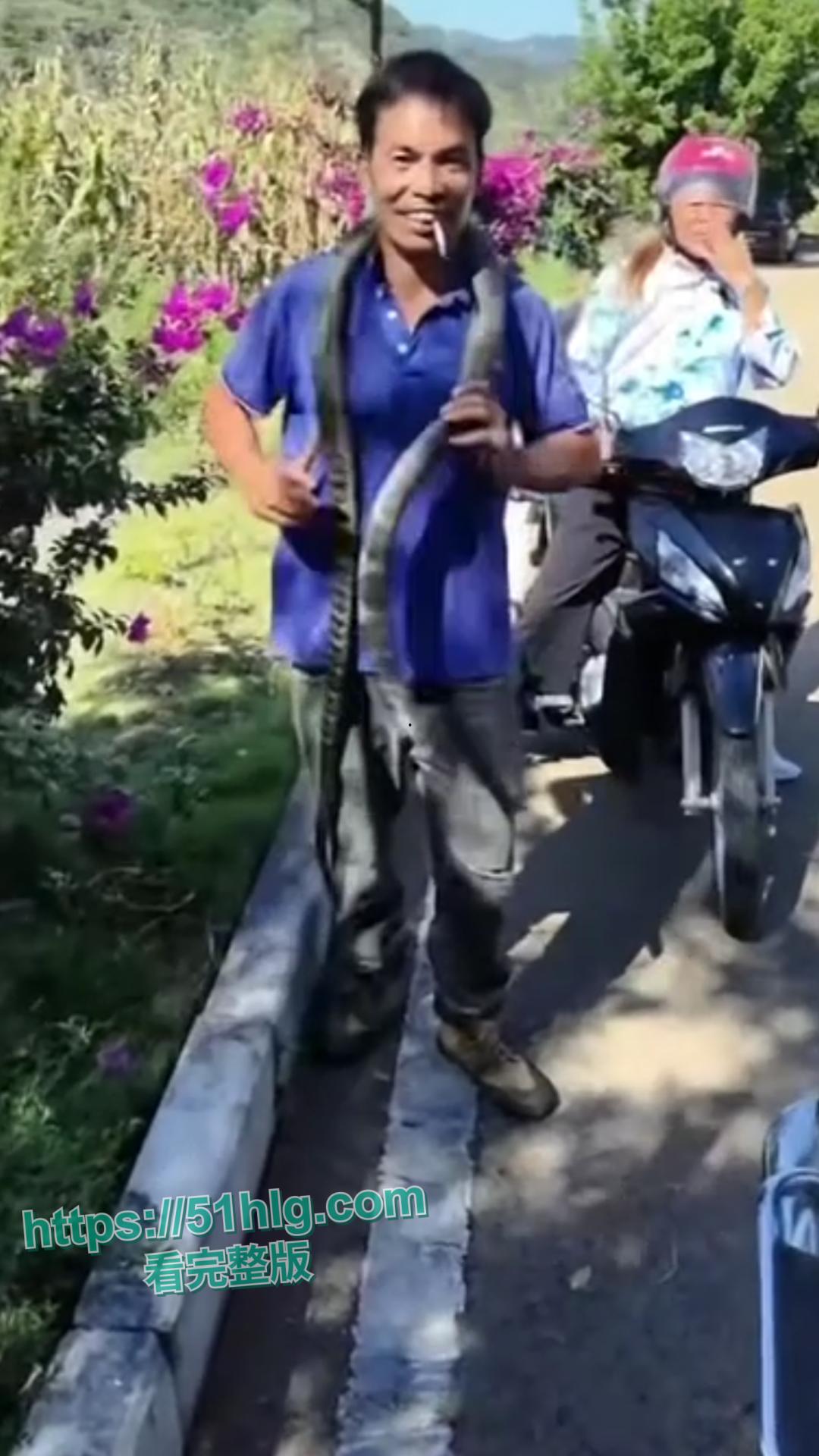 震惊！【贵州】男子惨遭眼镜王蛇夺命， 错把眼镜王蛇当乌梢蛇肆意玩耍，荒唐行为令人唏嘘不已-7