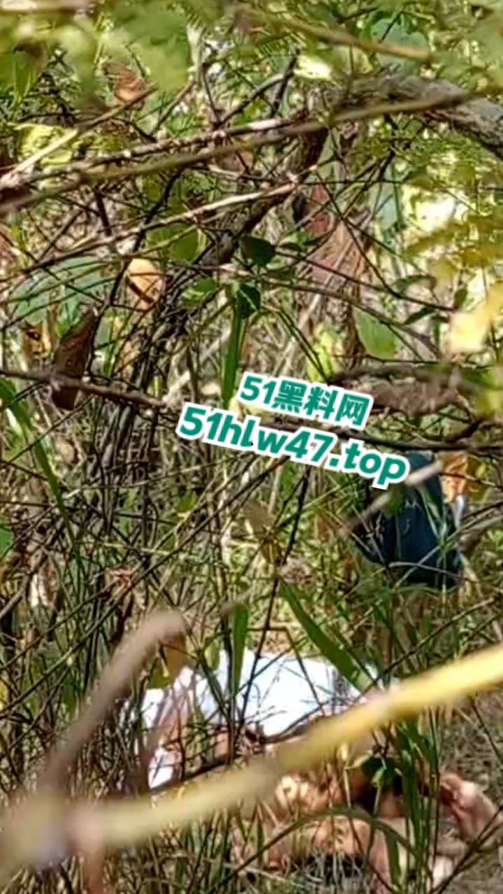 情侣景区小树林露天野战被偷拍，景区小树林里操逼，裸露下体疯狂动鸡刺激中出小骚逼。-2