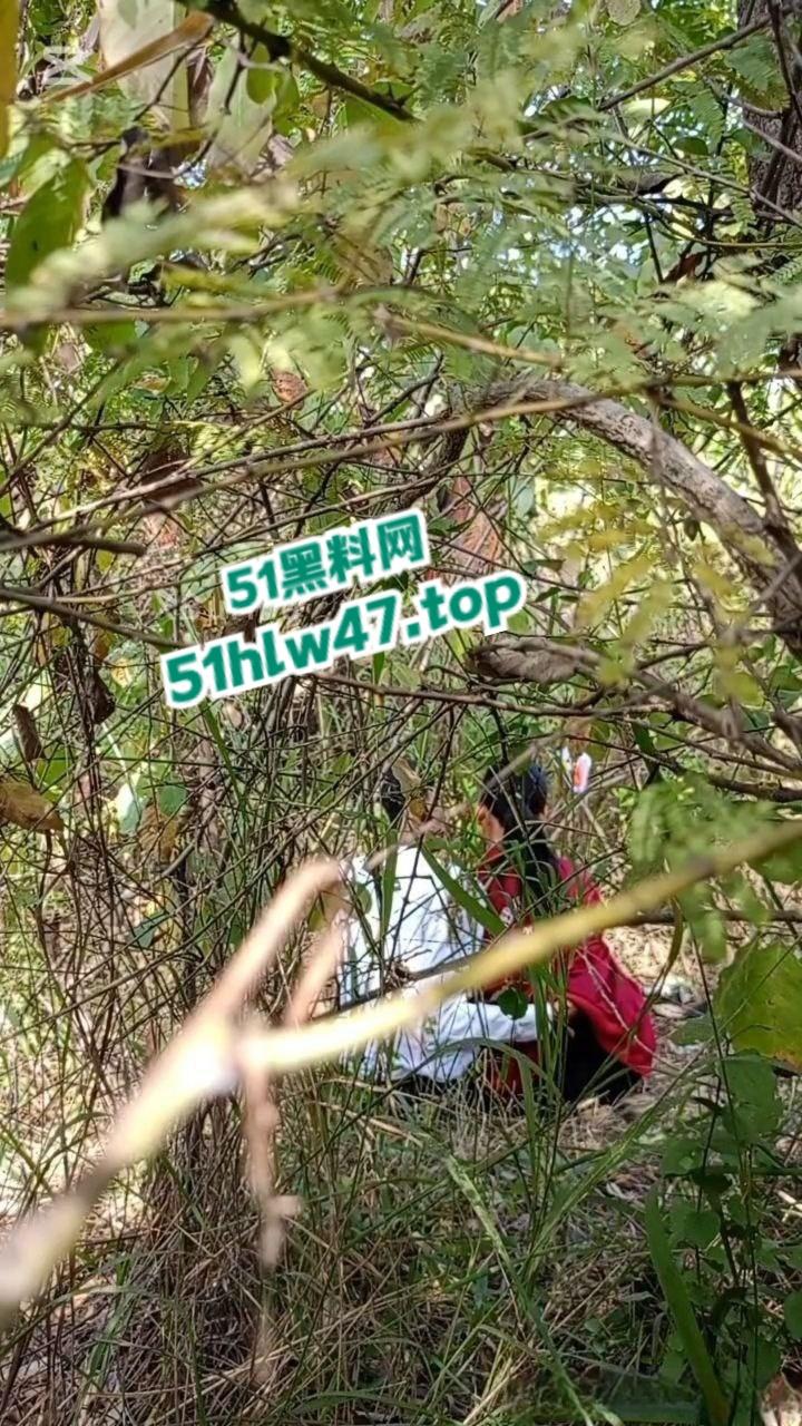 情侣景区小树林露天野战被偷拍，景区小树林里操逼，裸露下体疯狂动鸡刺激中出小骚逼。-4