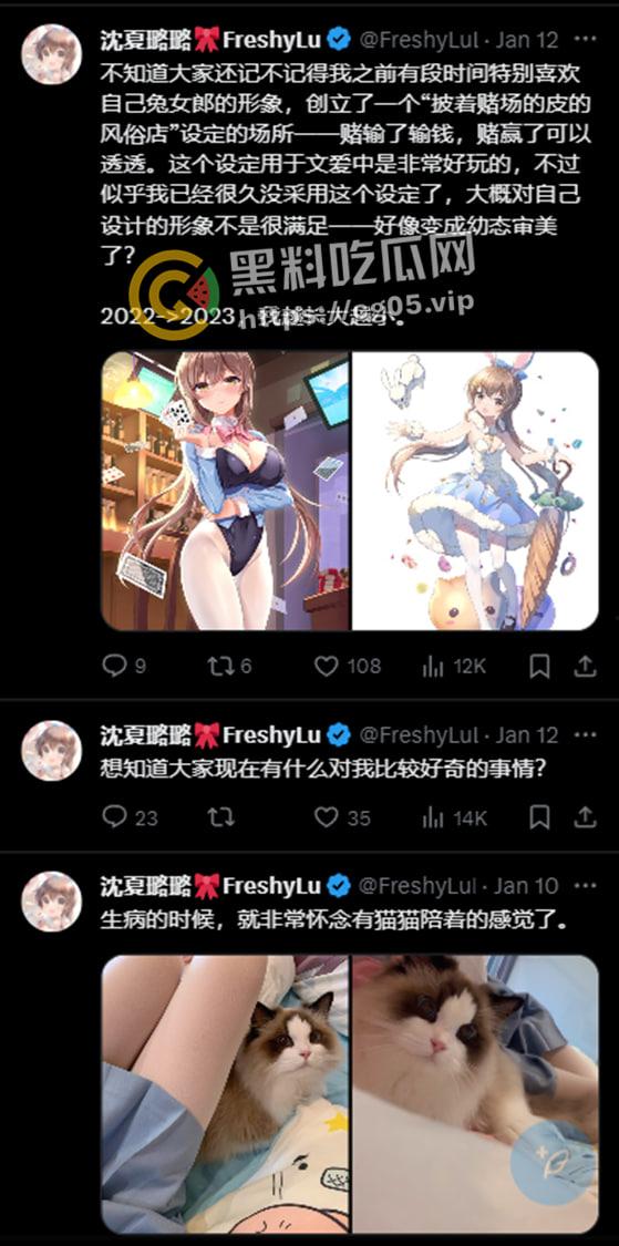 开盒推特男版乔碧萝!失学厂男穿上皮套假扮纯情萝莉诈骗8w 雇人拍擦边图维持人设 宅男的钱就是好骗-5