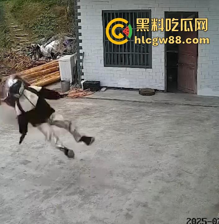 没煮你饭啊！你怎么就怎么就这么自来熟呀？飞车党直飞大爷家 坐等开饭 只见其车不见其人。-6