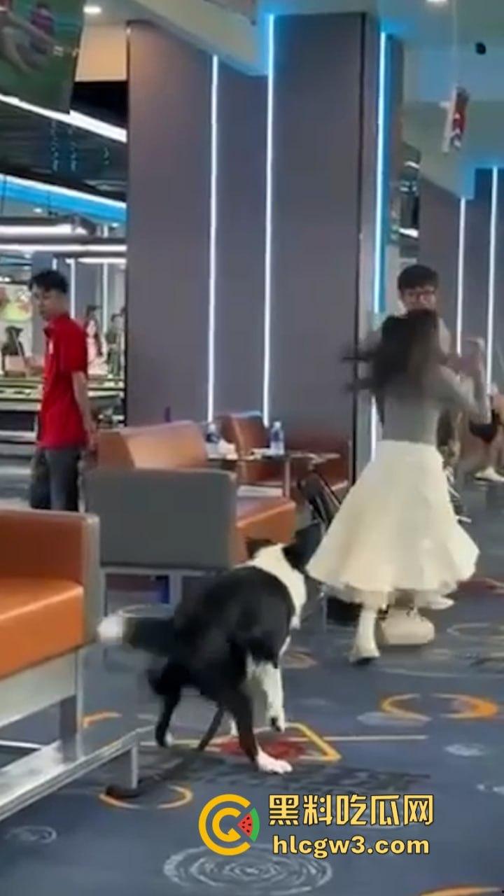 狗子发情当众操“妈”  大庭广众之下抱腿突击！美女吓得抱头躲避 在家没少干吧？-4