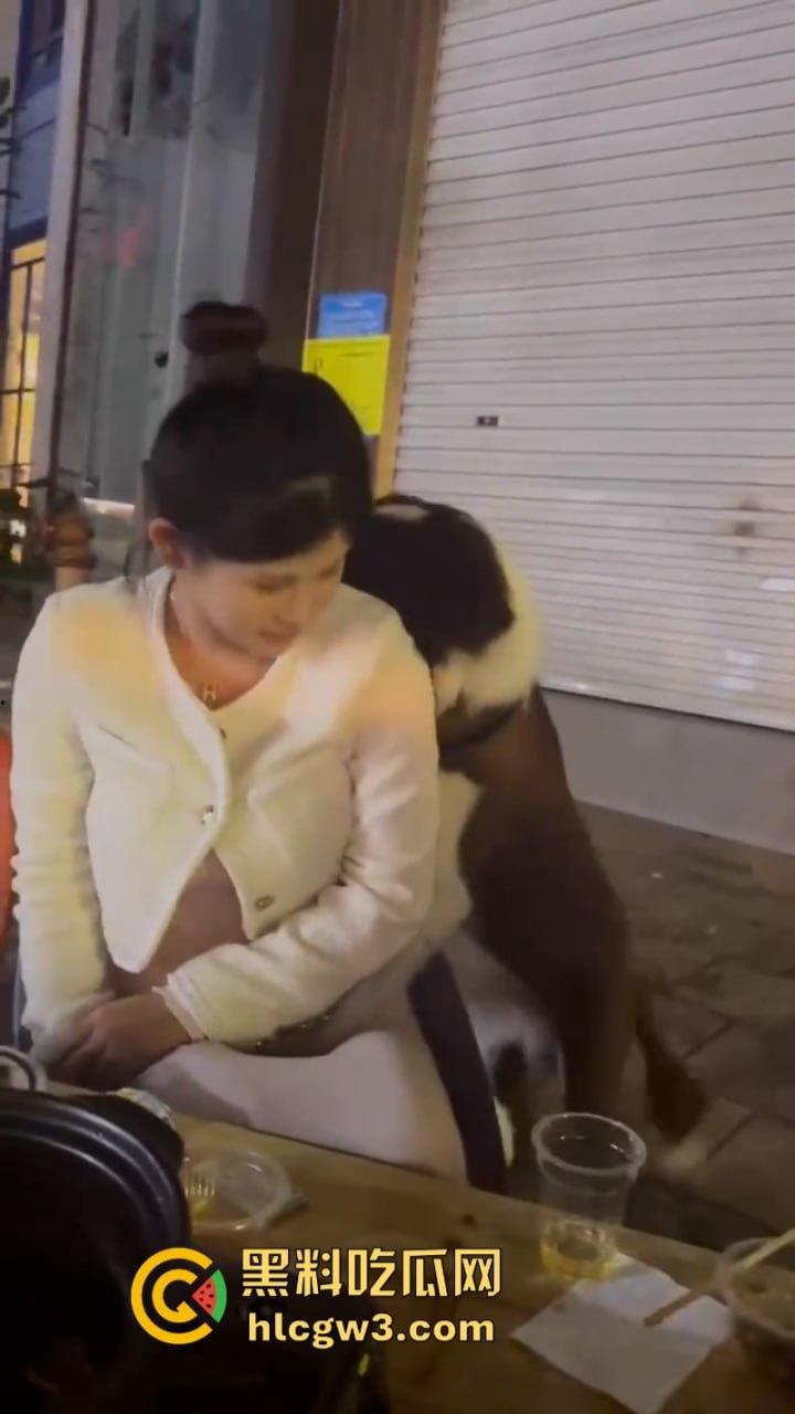 狗子发情当众操“妈”  大庭广众之下抱腿突击！美女吓得抱头躲避 在家没少干吧？-5