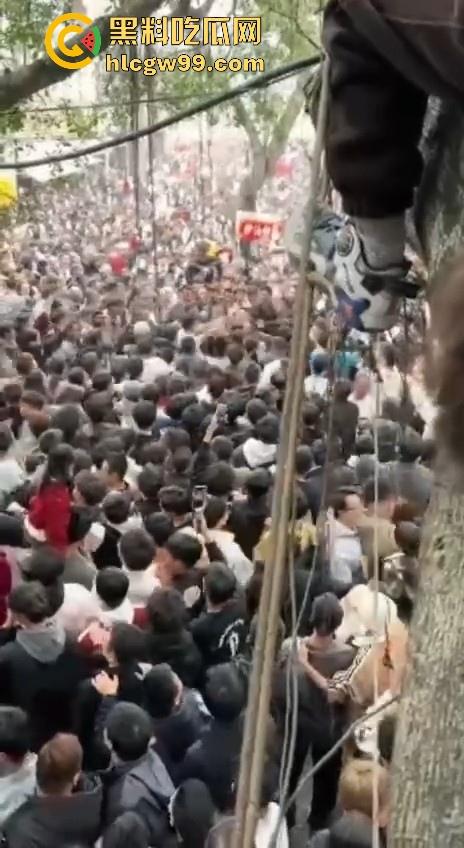 广东潮汕迎老爷因抢香炉爆发冲突，两边人马大大出手，好好的一个迎神活动搞成这样为啥呀！-7