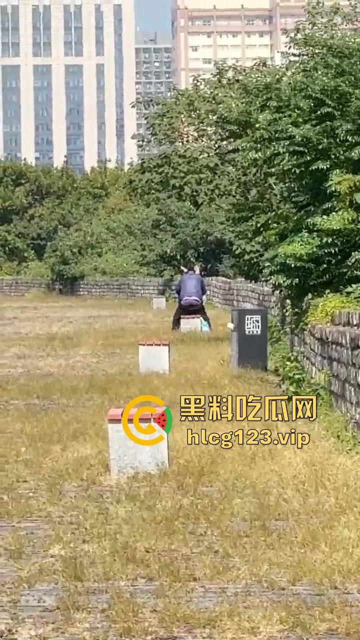 南京城墙惊现激情戏！大爷大妈公园打野战，瓜友带朋友全程目瞪口呆！-3