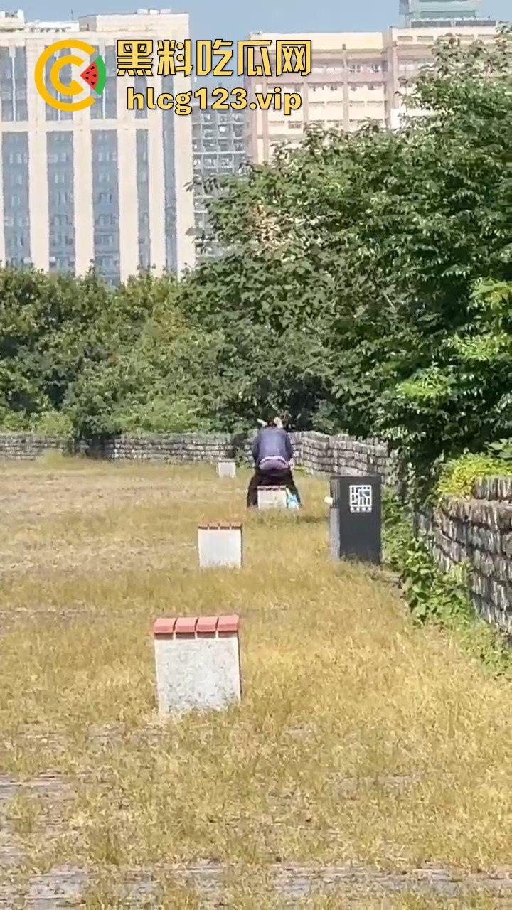 南京城墙惊现激情戏！大爷大妈公园打野战，瓜友带朋友全程目瞪口呆！-5