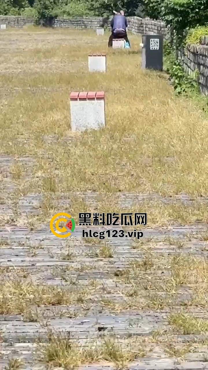 南京城墙惊现激情戏！大爷大妈公园打野战，瓜友带朋友全程目瞪口呆！-7