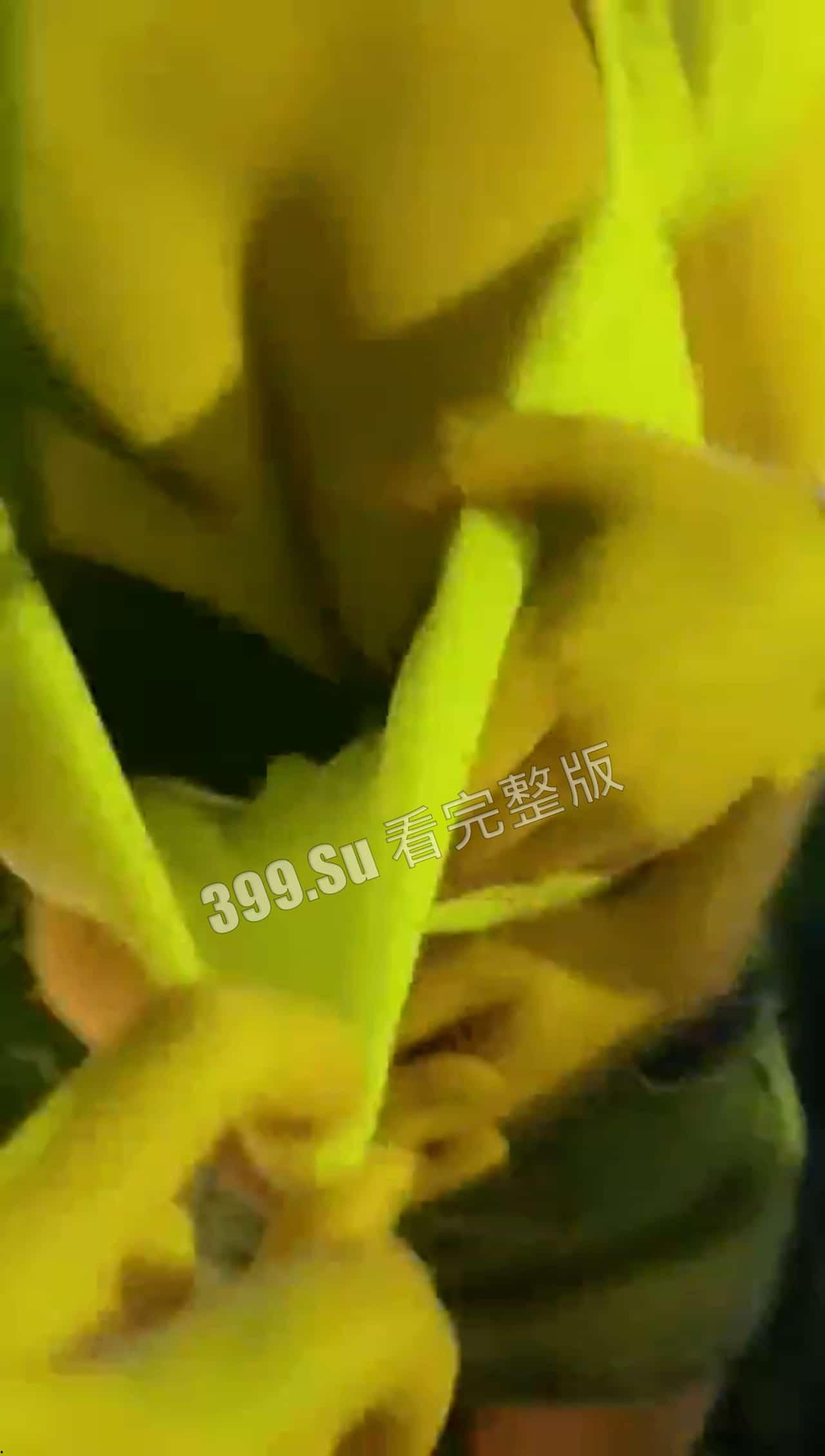 #好女孩合集 以后会被哪个幸运的 #老实人 娶到呢？第四部-2