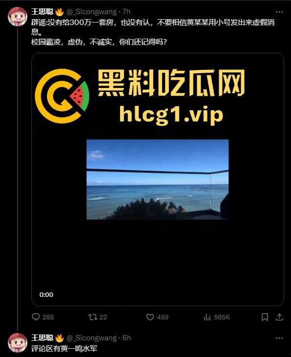 黄一鸣vs王思聪,流量密码再爆发!假瓜满天飞,王思聪直言黄一鸣不配‘思聪严选’!-16