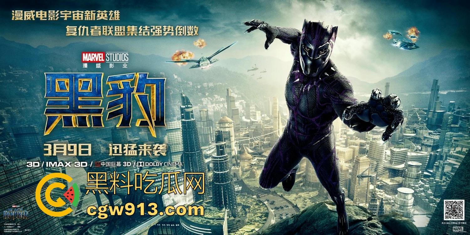 漫威超级英雄电影【黑豹】高清免费版，漫威经典之作，拿下奥斯卡多个大奖，很值得一看！-4