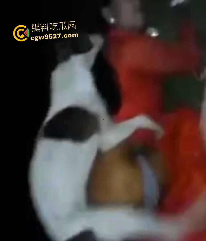 印度18岁少女为驱除“恶灵”，要嫁给一条流浪狗，深夜在户外被流浪狗后入，狗精子腥臭四溢！-2