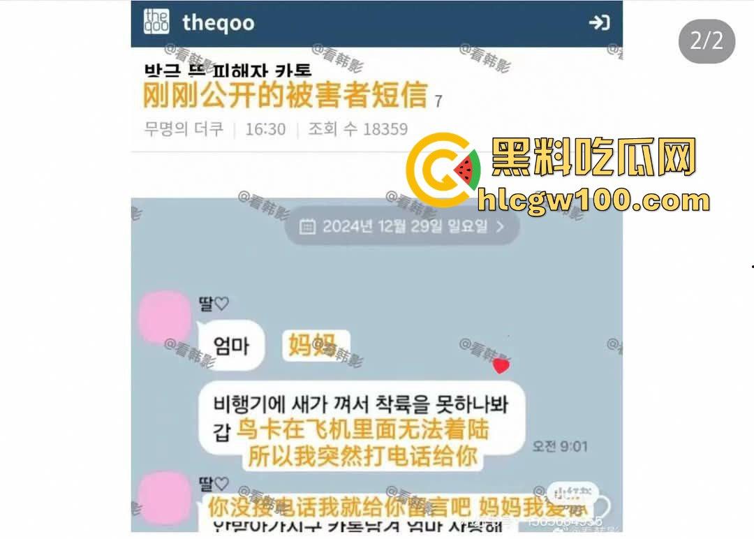 韩国济州航空坠机惨剧，因一只鸟导致181人中179人丧生，仅尾部保留形状，2名机组人员侥幸生还！-1