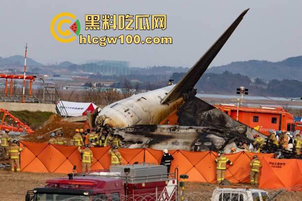 韩国济州航空坠机惨剧，因一只鸟导致181人中179人丧生，仅尾部保留形状，2名机组人员侥幸生还！-10