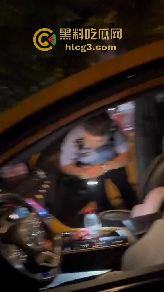河南漯河暴力执法！男子举报警察查酒驾期间遭暴力搜车与殴打，行车记录仪被强行夺走！-6