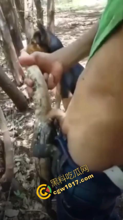 印度阿三享受变态玩乐：鸡巴爆操蜥蜴嫩穴，直到精液喷涌，炫耀异样快感，震撼画面引无数网民围观-4