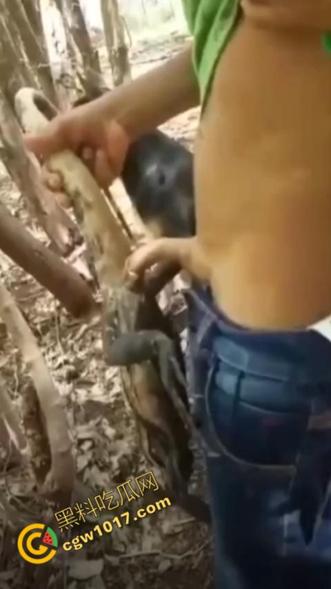 印度阿三享受变态玩乐：鸡巴爆操蜥蜴嫩穴，直到精液喷涌，炫耀异样快感，震撼画面引无数网民围观-6