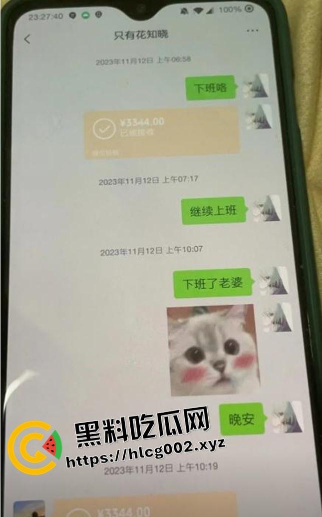 纯爱不死！王者荣耀国服梦琪【肥猫】【谭竹】事件全梳理 两年转账51万后被PUA至死 谭竹被打视频流出？正义开盒-2