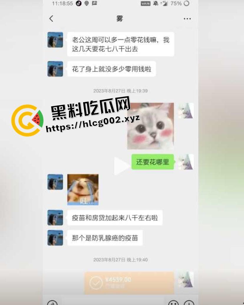 纯爱不死！王者荣耀国服梦琪【肥猫】【谭竹】事件全梳理 两年转账51万后被PUA至死 谭竹被打视频流出？正义开盒-14