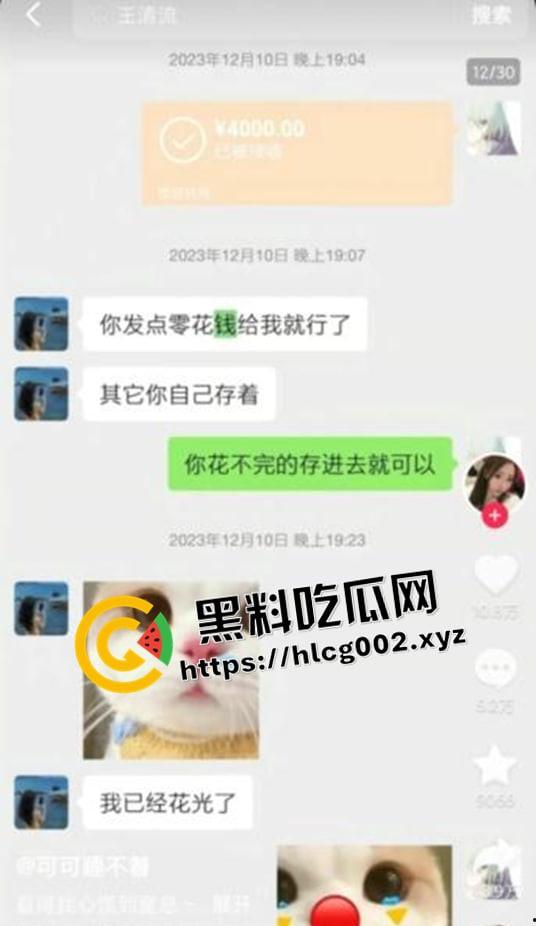 纯爱不死！王者荣耀国服梦琪【肥猫】【谭竹】事件全梳理 两年转账51万后被PUA至死 谭竹被打视频流出？正义开盒-17