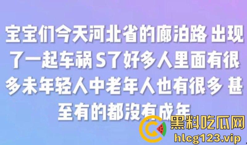 河北廊坊公交车突发车祸 老人孩子死伤无数 现场伤亡视频曝光-1