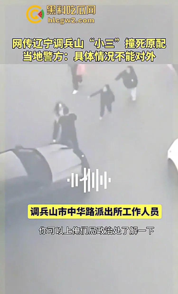 辽宁铁岭调兵山紫夜KTV老板娘【张雪】被小三车撞身亡，情感纠纷背后真相扑朔迷离！-6