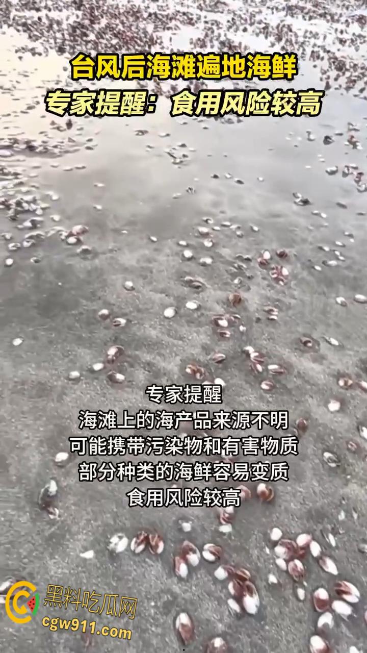 桦加沙台风卷海鲜上岸，街坊抢货如过年，海洋环境突变可能导致藻类大量繁殖，有毒勿食贪嘴小心躺板板！-1