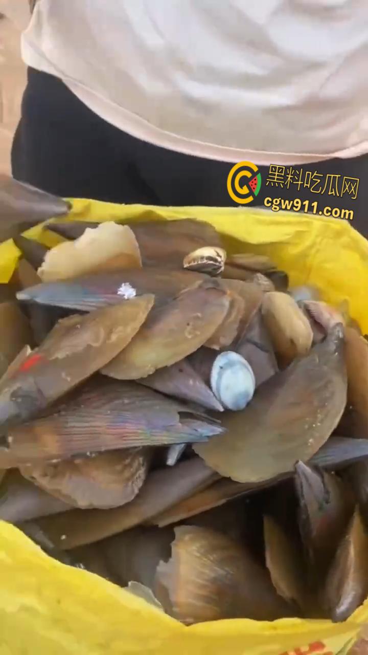 桦加沙台风卷海鲜上岸，街坊抢货如过年，海洋环境突变可能导致藻类大量繁殖，有毒勿食贪嘴小心躺板板！-6