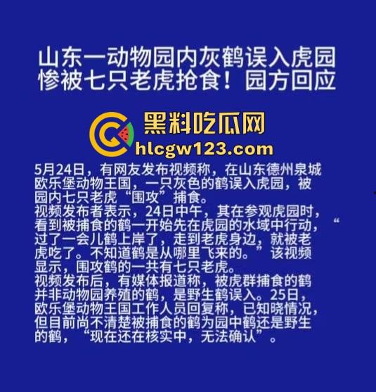 山东德州欧乐堡惊现一只大鹤误入虎区，七虎围成战术扇形现场1V7，最后成了热菜！-1