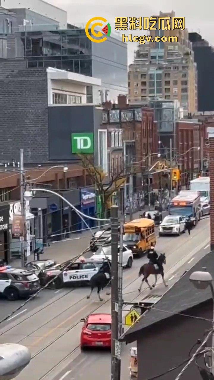 多伦多11月2日上演现实版警匪追逐！downtown街头劫车事件，比大片还带劲！-10