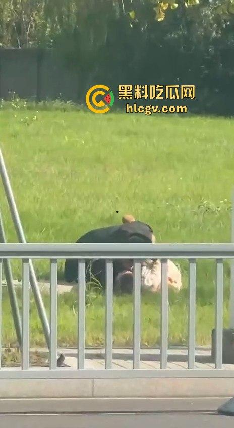 江苏街头霸道总裁当众发狂！大庭广众之下草坪硬上女伴，女性安全真的没个谱！-8