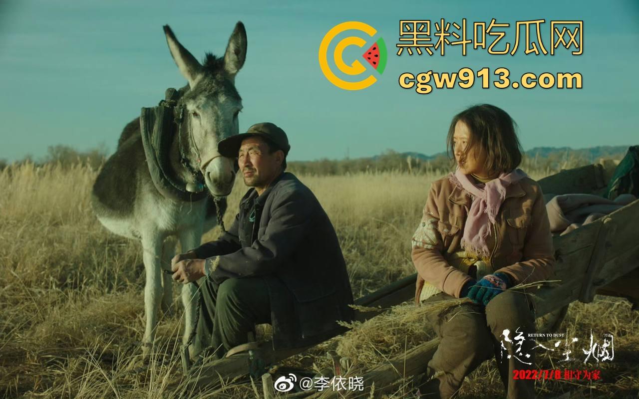 年度高分神剧【隐入尘烟】震撼来袭！后劲很大很感动很写实的国家下架电影，很值得一看！-7