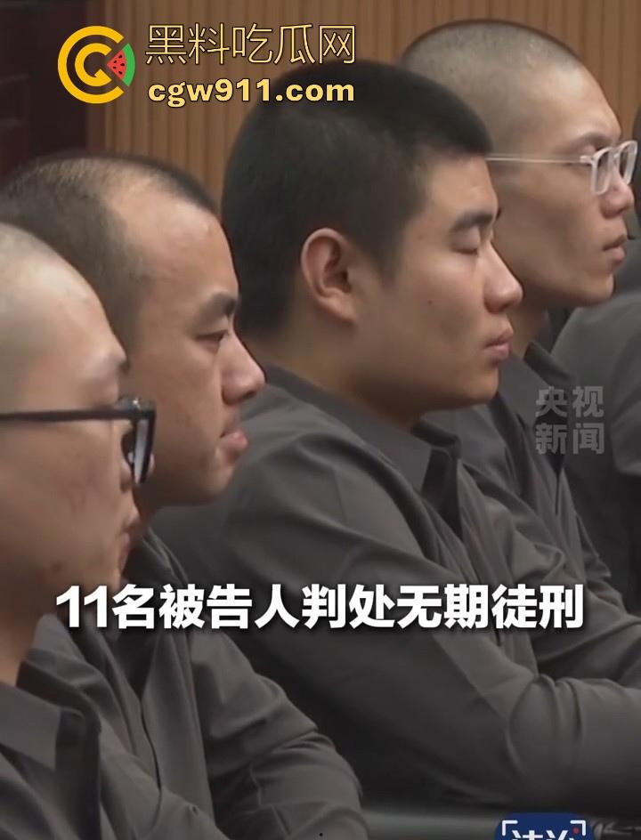 缅甸四大家族之一明家终于判刑了，5人判处死刑11人判无期12人二十四年至五年不等，对这种人渣应该全部死刑！-9