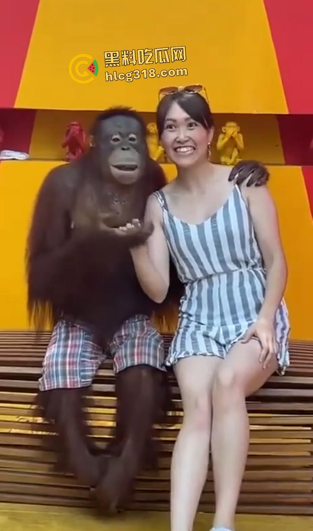 美女与猩猩合照遭“性”骚扰！亲脸抓奶牵手搞得美女笑得合不拢嘴！下辈子我也要当猩猩！-1