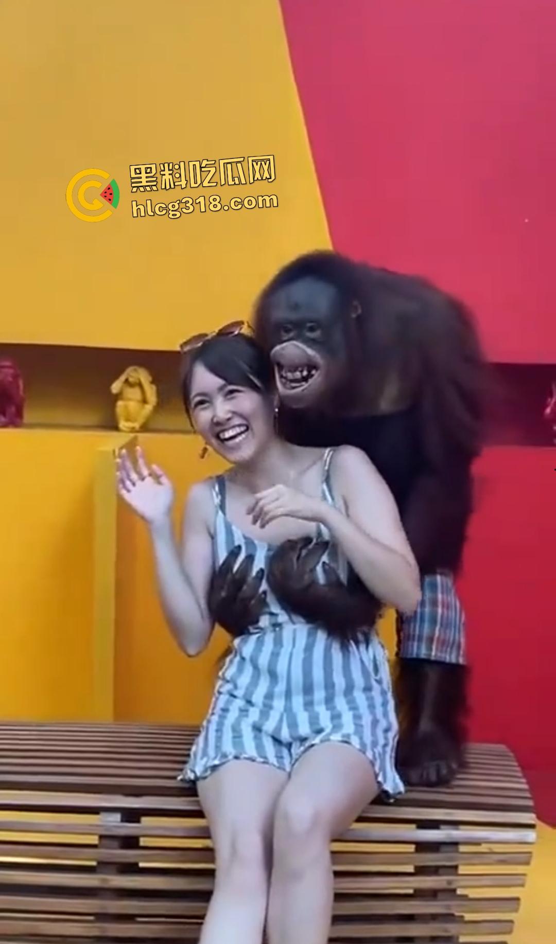 美女与猩猩合照遭“性”骚扰！亲脸抓奶牵手搞得美女笑得合不拢嘴！下辈子我也要当猩猩！-5