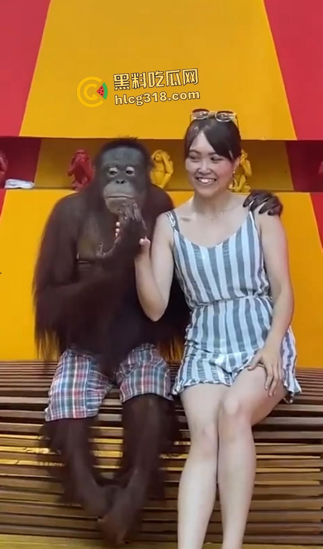 美女与猩猩合照遭“性”骚扰！亲脸抓奶牵手搞得美女笑得合不拢嘴！下辈子我也要当猩猩！-8