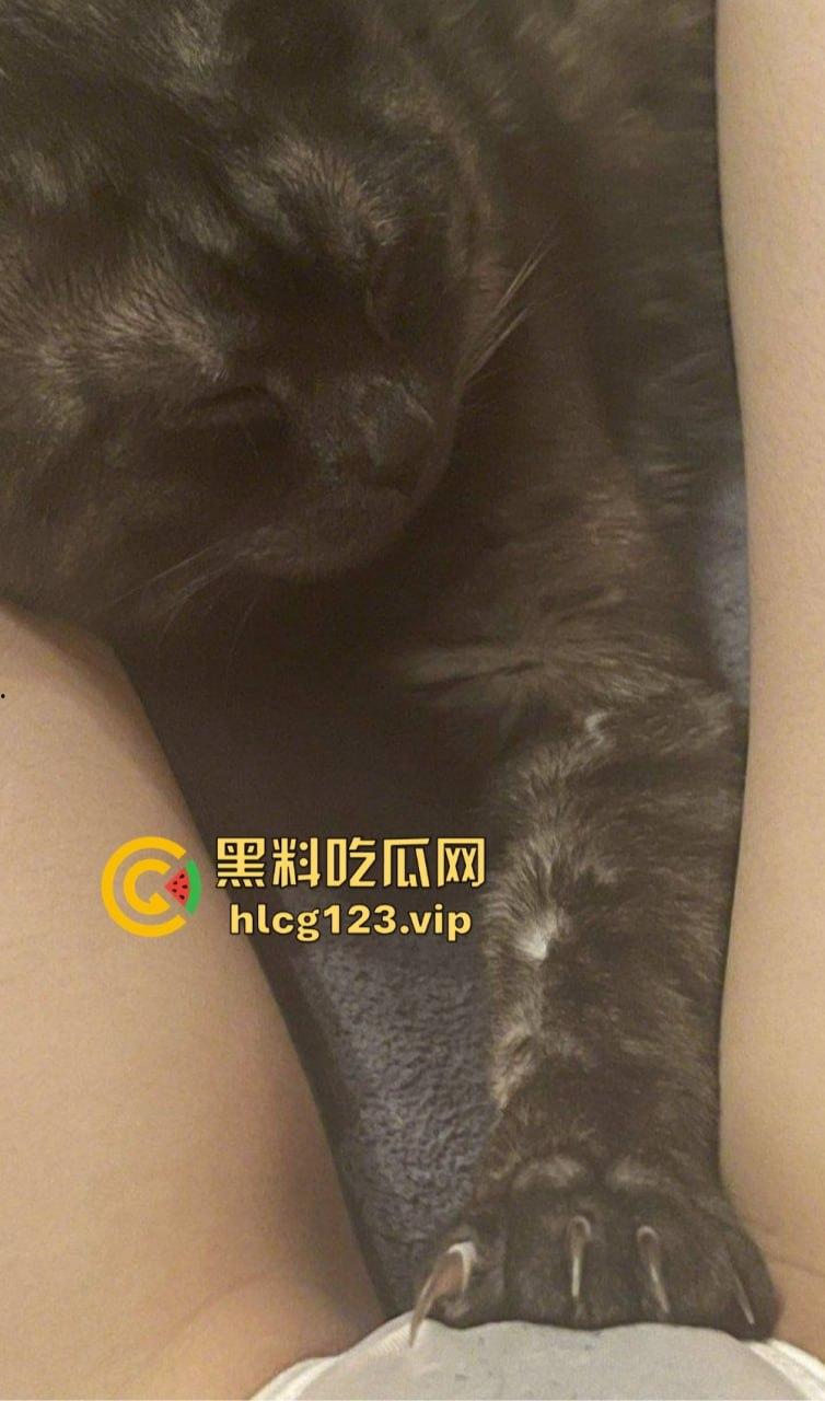 精神小骚妹独自在家玩弄自己！内内纹身自拍，抽烟玩骚，自慰爽到飞起！-8