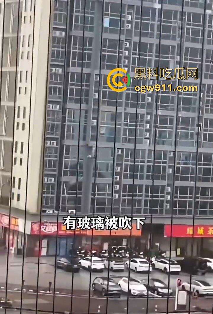 最强的超级台风【桦加沙】登陆阳江后的真实状况，到处都是被吹到的树玻璃，人类在大自然面前是多么渺小啊！-5