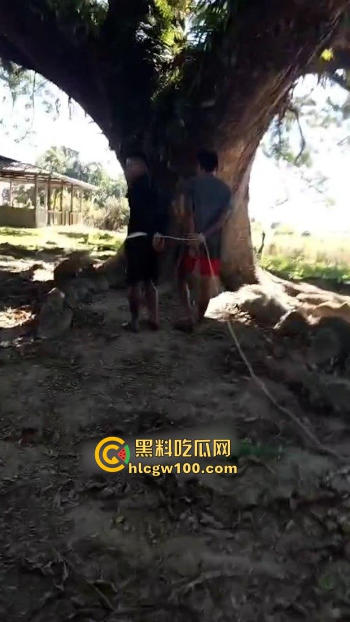 以色列与巴勒斯坦伊斯兰抵抗运动就加沙停火协议！双方又达成新的停火协议-3