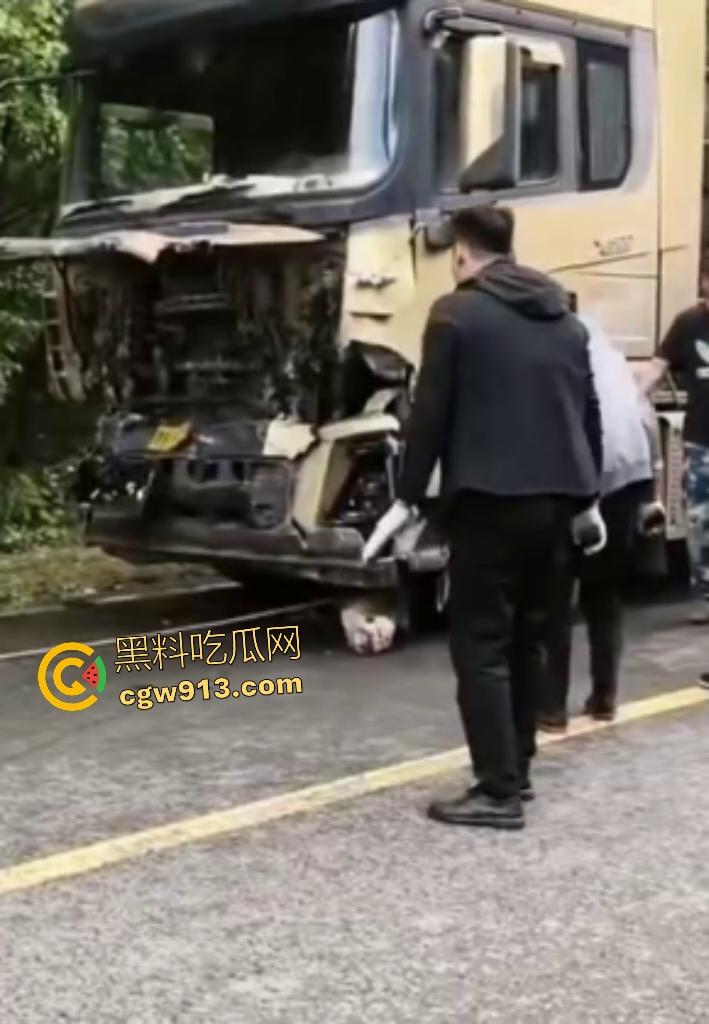 黑龙江货车狂飙撞扁16头活牛，尸体拉长成肉泥，丢草丛无人收，这下司机要赔得血本无归！-1