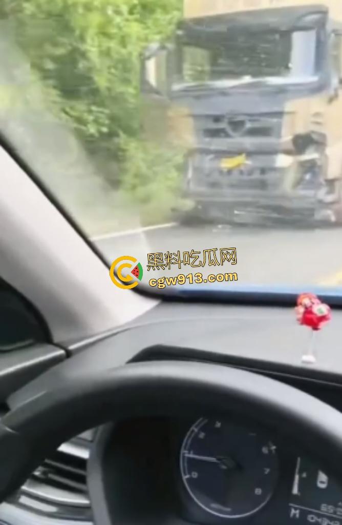 黑龙江货车狂飙撞扁16头活牛，尸体拉长成肉泥，丢草丛无人收，这下司机要赔得血本无归！-2