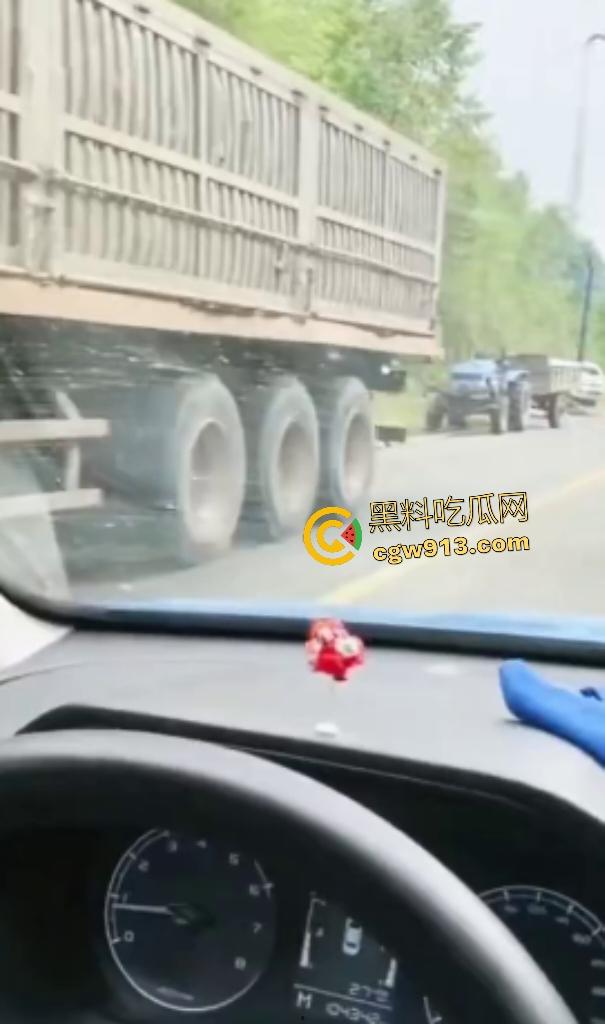 黑龙江货车狂飙撞扁16头活牛，尸体拉长成肉泥，丢草丛无人收，这下司机要赔得血本无归！-3