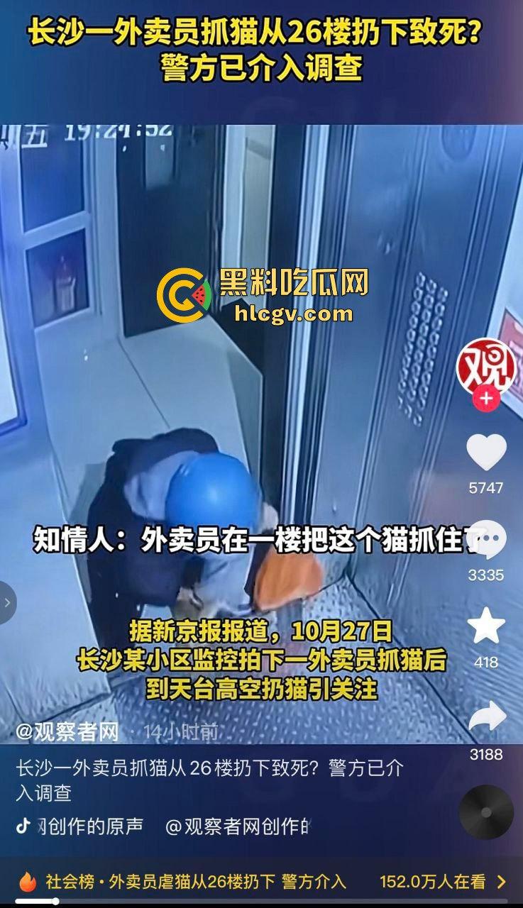 长沙外卖员丧心病狂虐猫！抓猫从26楼扔下当场摔死！-1