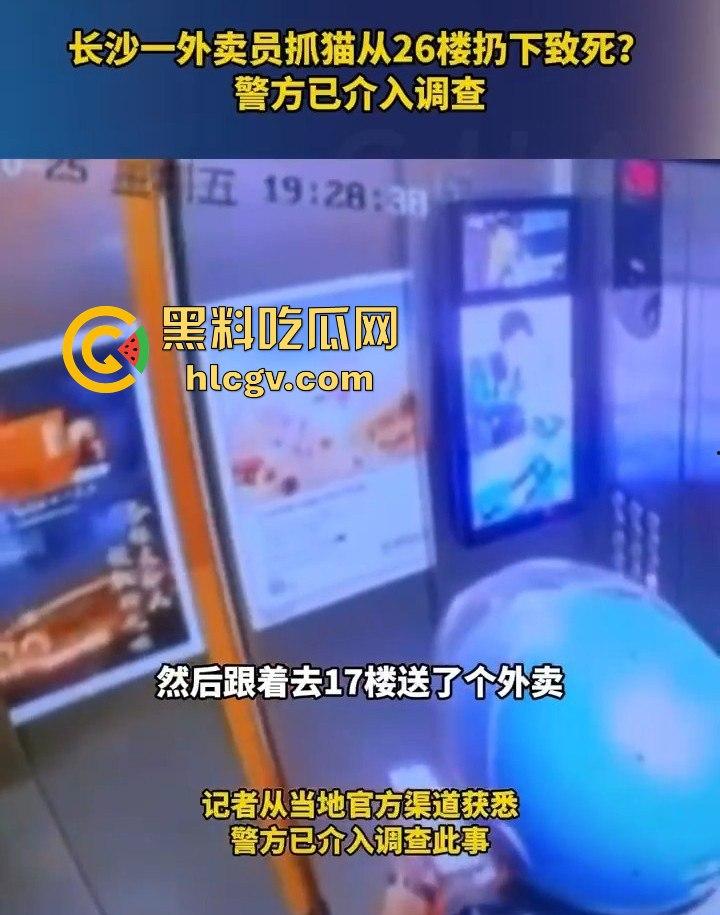 长沙外卖员丧心病狂虐猫！抓猫从26楼扔下当场摔死！-2