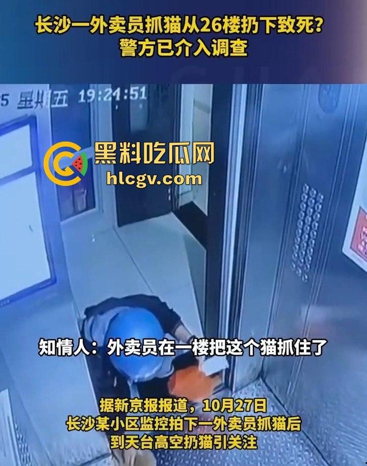 长沙外卖员丧心病狂虐猫！抓猫从26楼扔下当场摔死！-3