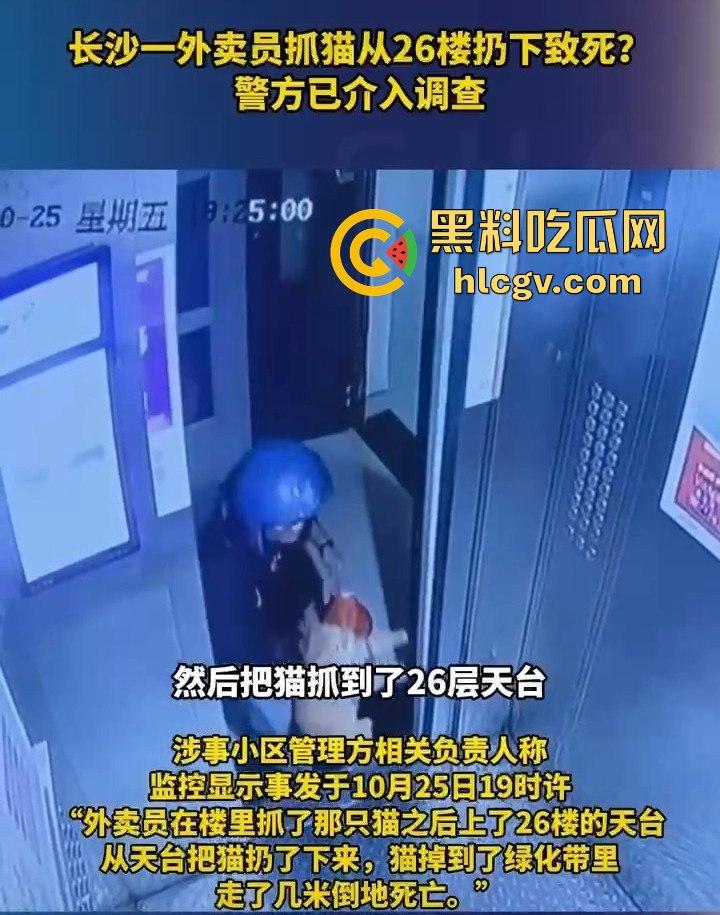 长沙外卖员丧心病狂虐猫！抓猫从26楼扔下当场摔死！-4